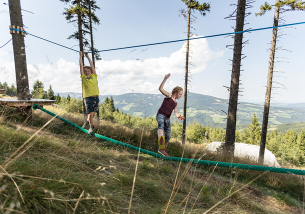     Balancing course Mönichkirchen swing trail / Swing trail